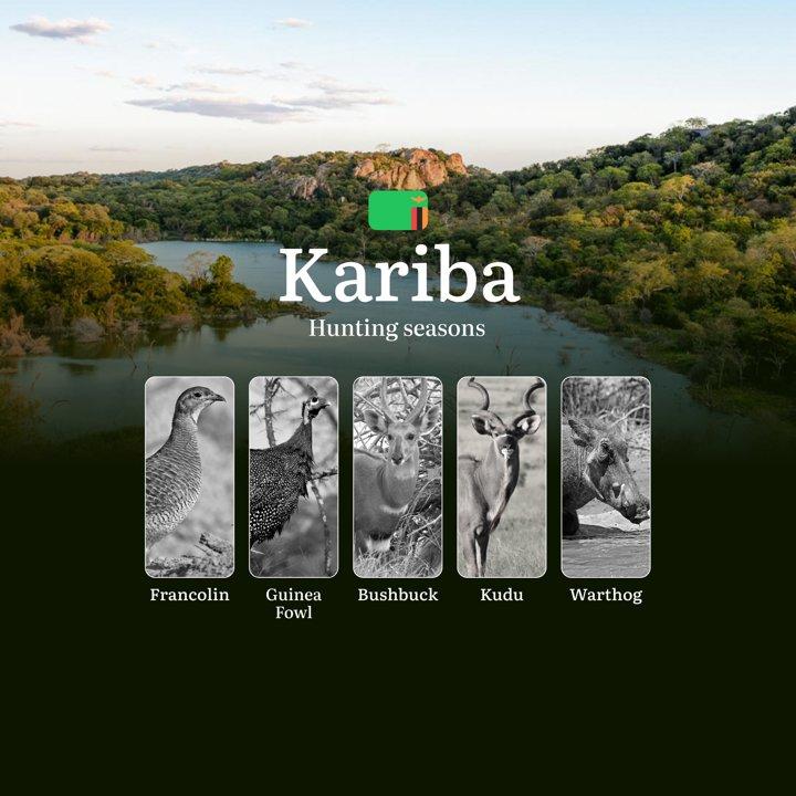 When the Zambezi Decides: Tracking Kariba's Hunting Seasons, Hunting Events, Regulations and Tactics