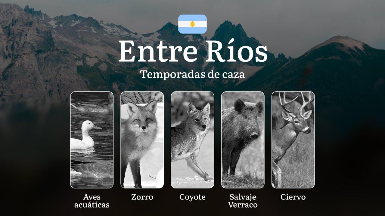Temporadas de caza, plazos y normas de caza en la provincia de Entre Ríos, Argentina: lo que todo cazador debe saber