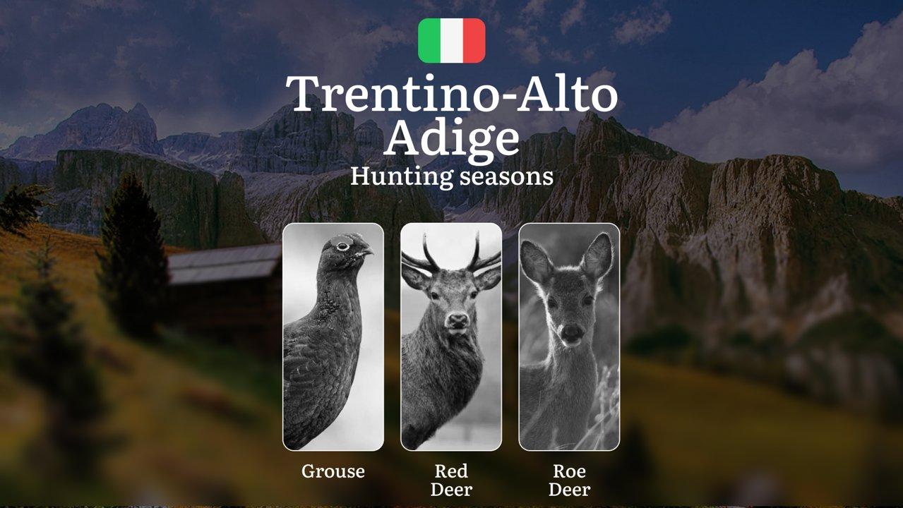 Trentino-Alto Adige Alpine Hunting Seasons: High-Altitude Schedules for Grouse, Chamois and Red Deer

The autonomous provinces of Trentino and South Tyrol offer some of E