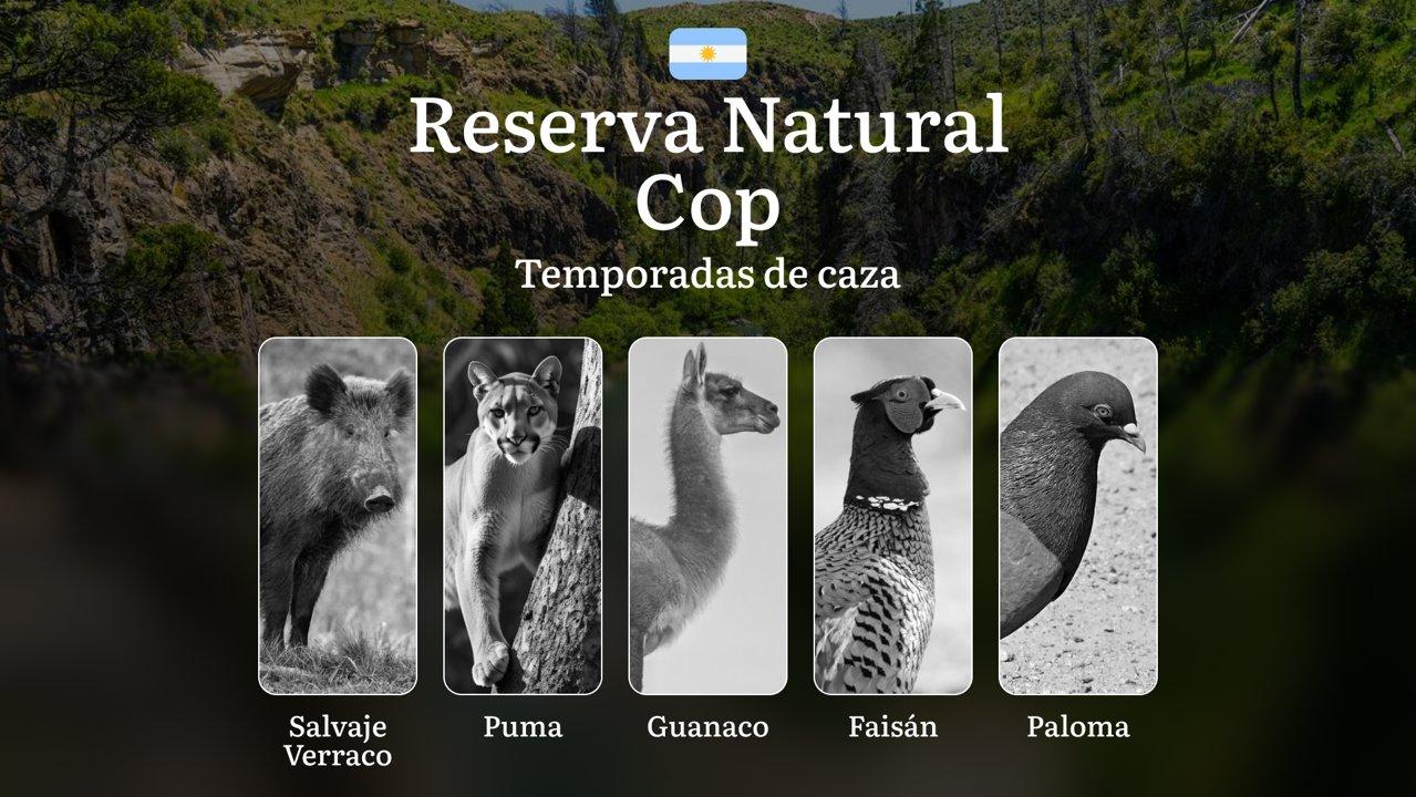 Argentina: la Reserva Natural Cop y sus particularidades, normas generales y temporadas, una licencia de caza, horario, ubicación, equipamiento y tácticas
