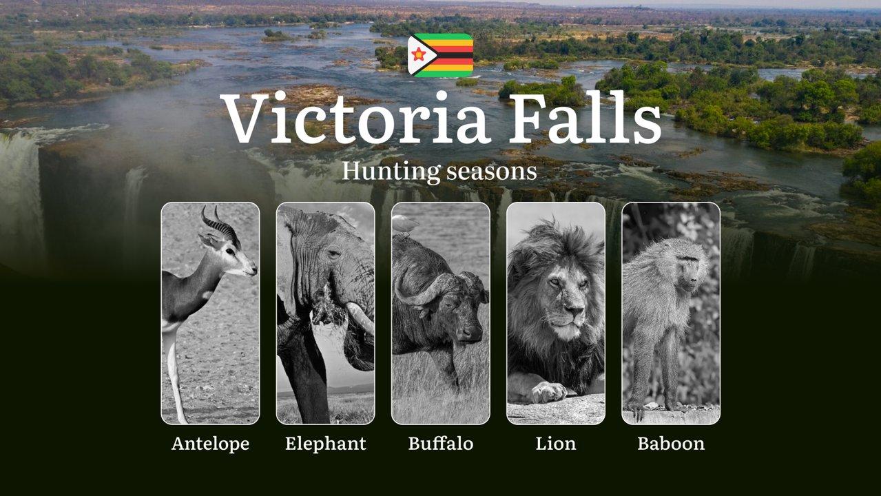Hunting Seasons in Zimbabwe, VICTORIA FALLS Region: Hunting Dates and Periods, Licenses, Rules and Times for Hunting, Tips for Choosing Location