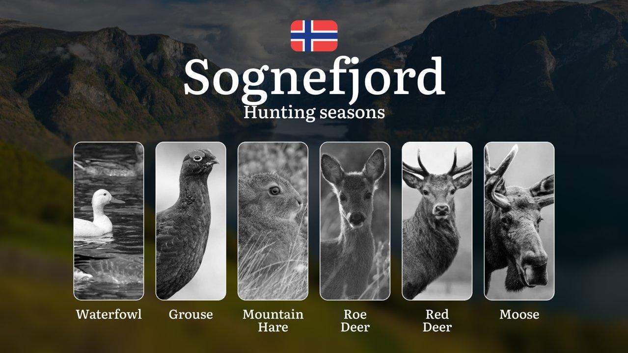 Hunting Dates in Sognefjord: Seasonality of Hunting, Timing and Regulations, Hunting Permits, Restrictions and Prohibitions
If you’re planning a hunting trip to the stunn