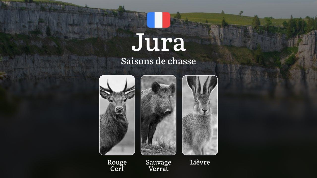 Saisons de Chasse dans le JURA: Dates Clés, Particularités des Périodes de Chasse, Obtention des Permis et Règles Locales