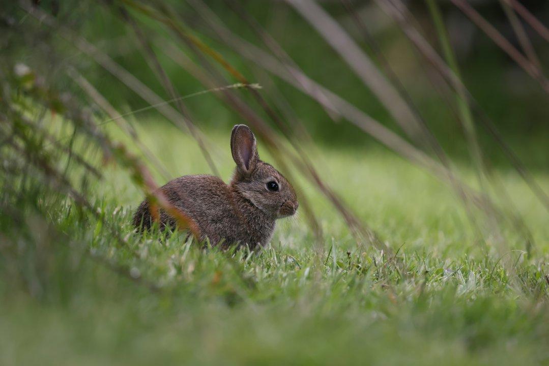 La Chasse au LOT: explorez la géographie, naviguez dans les saisons de chasse et découvrez des faits intéressants