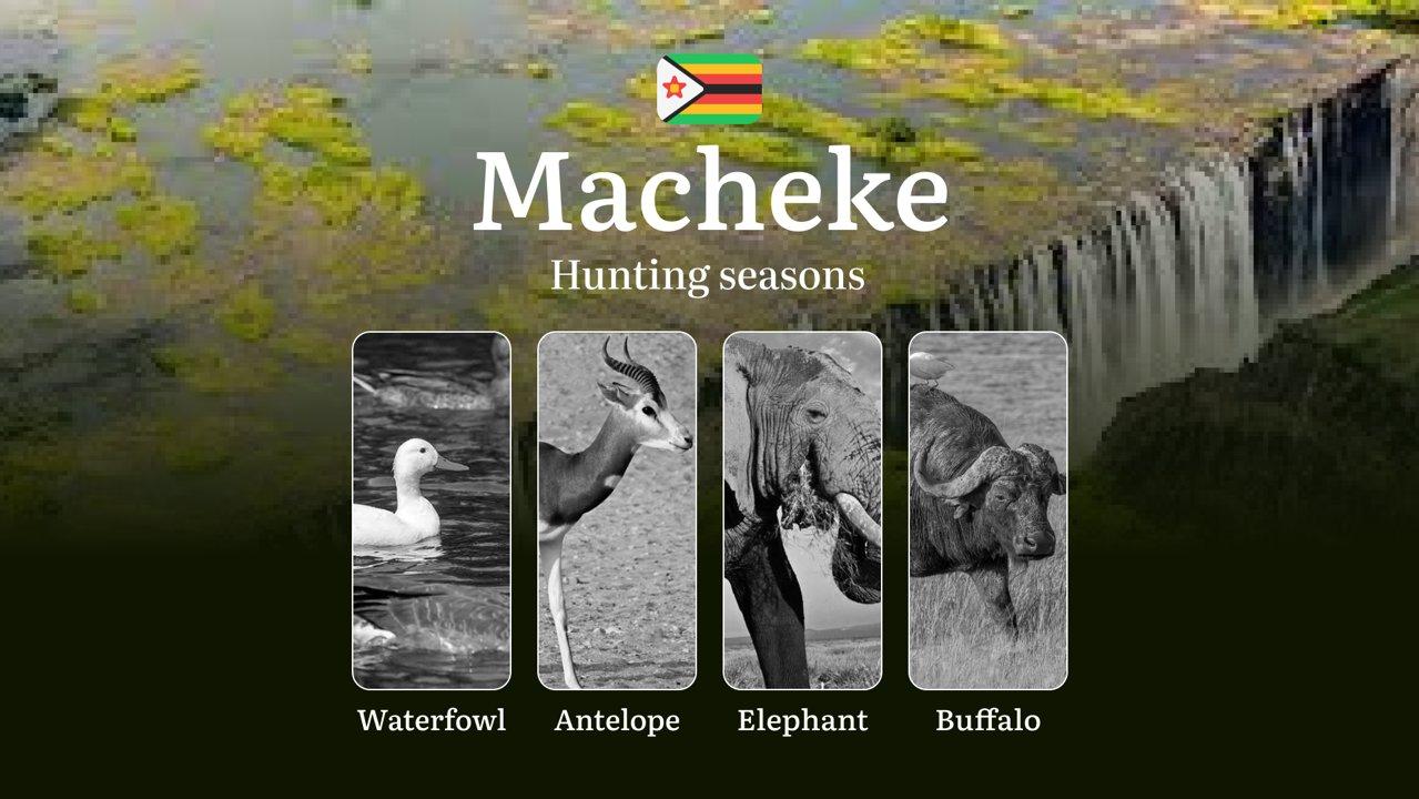 Hunting Dates in the MACHEKE Region: Hunting Periods, Licenses and Rules, Bans and Protected Species, Location and Equipment