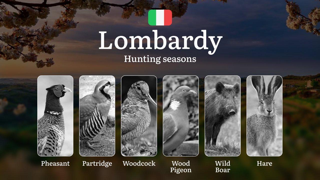 Lombardy's Hunting Seasons: Dates, Zones and Tuscan-Style Culling Methods

The Lombardy region, with its diverse ecosystems stretching from the Alpine peaks to the fertil