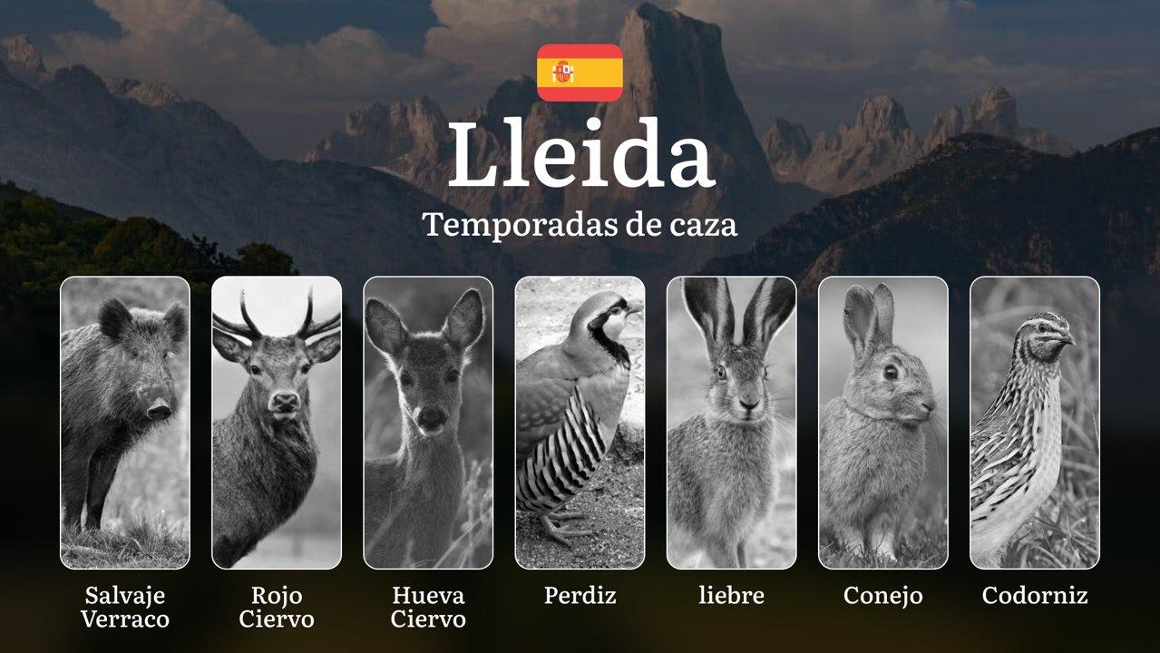 Caza en LLEIDA: Temporadas y períodos de caza, Licencias y Mejores Épocas para Disfrutar de la Actividad Cinegética en Cataluña