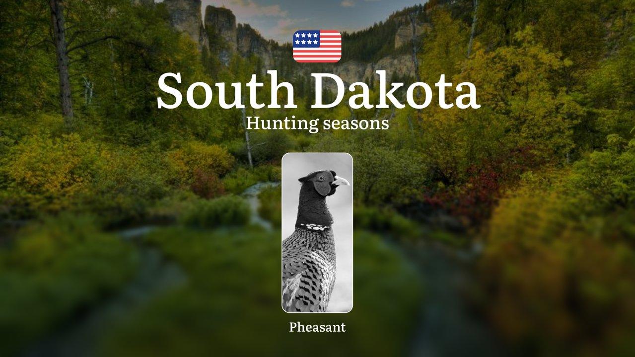 South Dakota: Pheasant Hunting Seasons and Dates, Licenses, Rules, Penalties for Violating Hunting Regulations

Key Regulations and Hunting Season Dates in South Dakota

