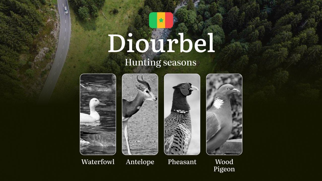 Hunting Dates in Senegal, The DIOURBEL Region: Hunting Calendar and Seasons, Legal Restrictions, Bans, Timeframes and Protected Species