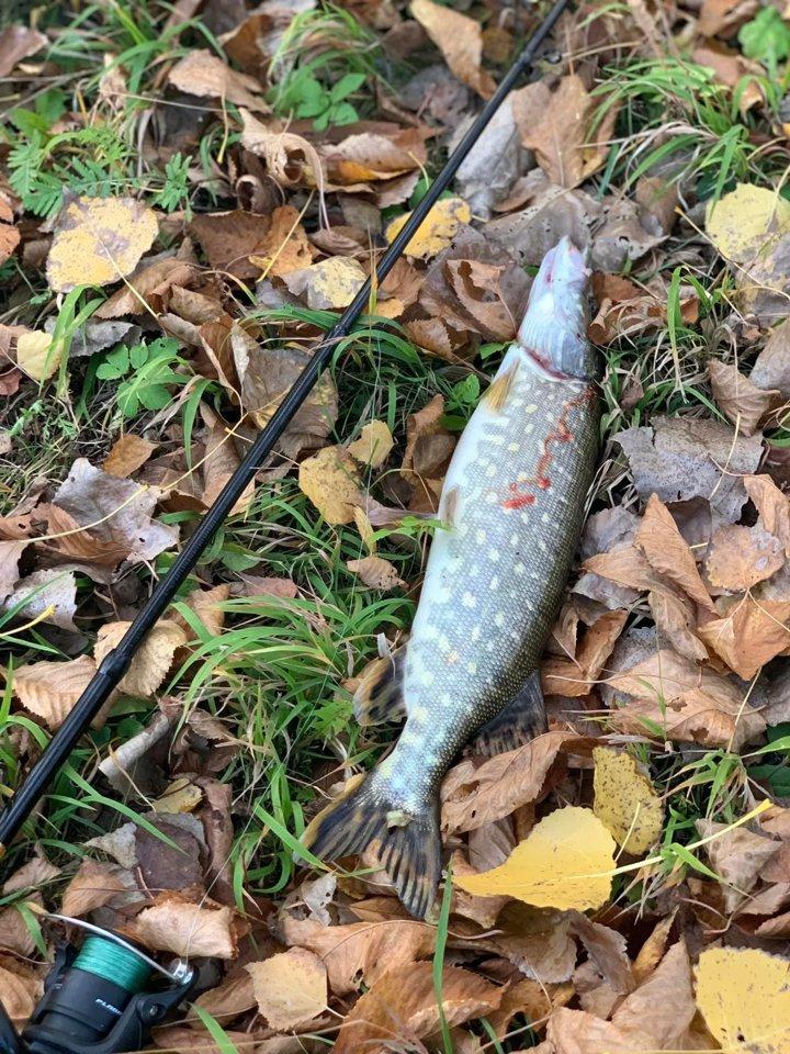 Autumn catch 🍂