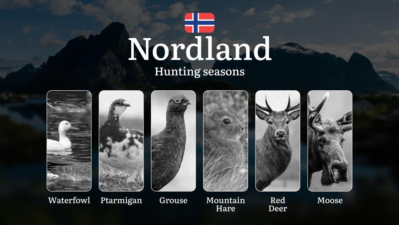 Hunting Dates in Nordland: Seasonality of Hunting, Timing and Regulations, Hunting Permits, Restrictions and Prohibitions

Nordland is renowned for its diverse hunting gr