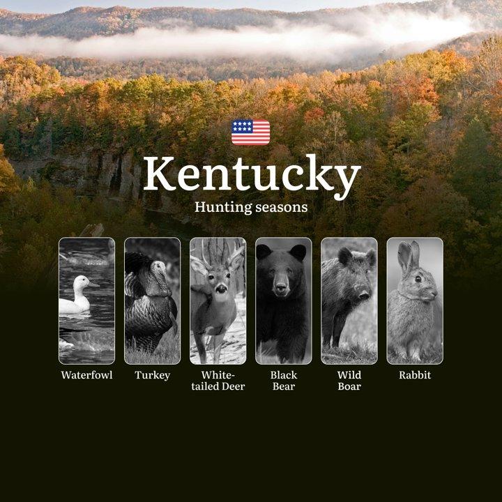 Hunting Seasons in Kentucky, USA: Hunting Periods, Licenses, Rules and Penalties for Violating Hunting 