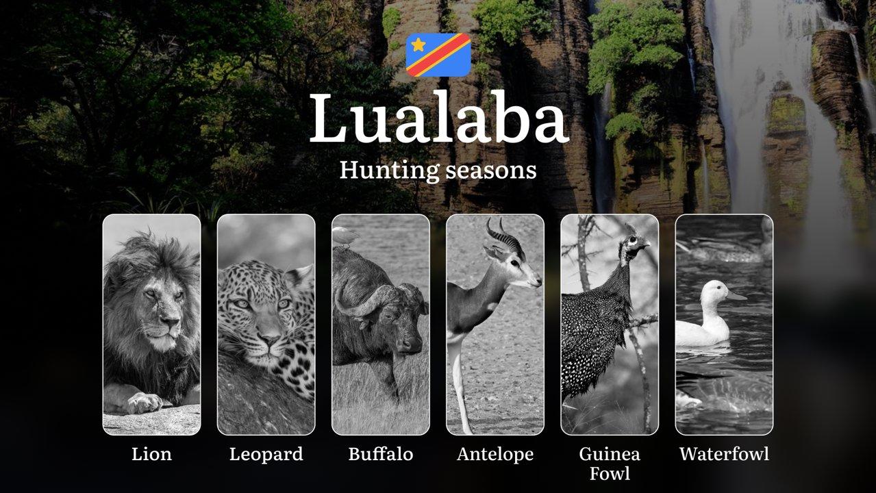 Hunting Calendar for Lualaba Province: Regional Hunting Rules, Licensing Procedures, Off-Season Violation Penalties, and Strategic Advice on Timing, Equipment, and Techniques 