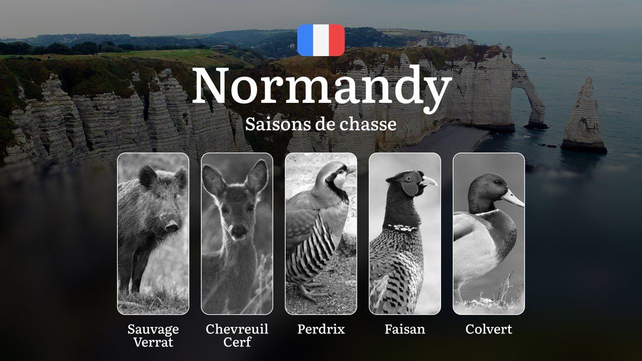 Saisons de Chasse en NORMANDIE: Dates Clés, Règles Locales, Limitations et Sanctions en Cas de Non-Respect des Règles