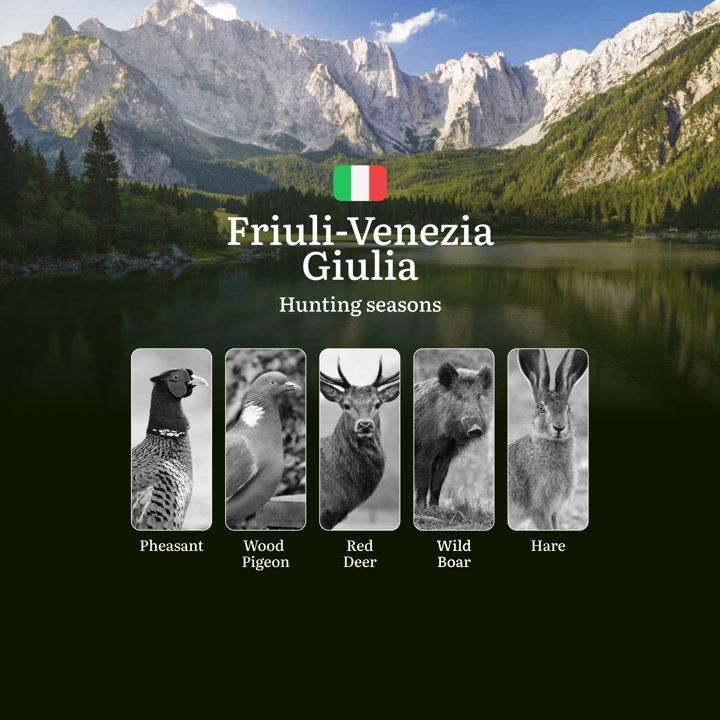 Friuli-Venezia Giulia Calendar: Lagoon <strong>Hunting</strong> Seasons from Adriatic Marshes to Alpine Streams

 Regulation and <strong>Hunting</strong> Periods <strong>