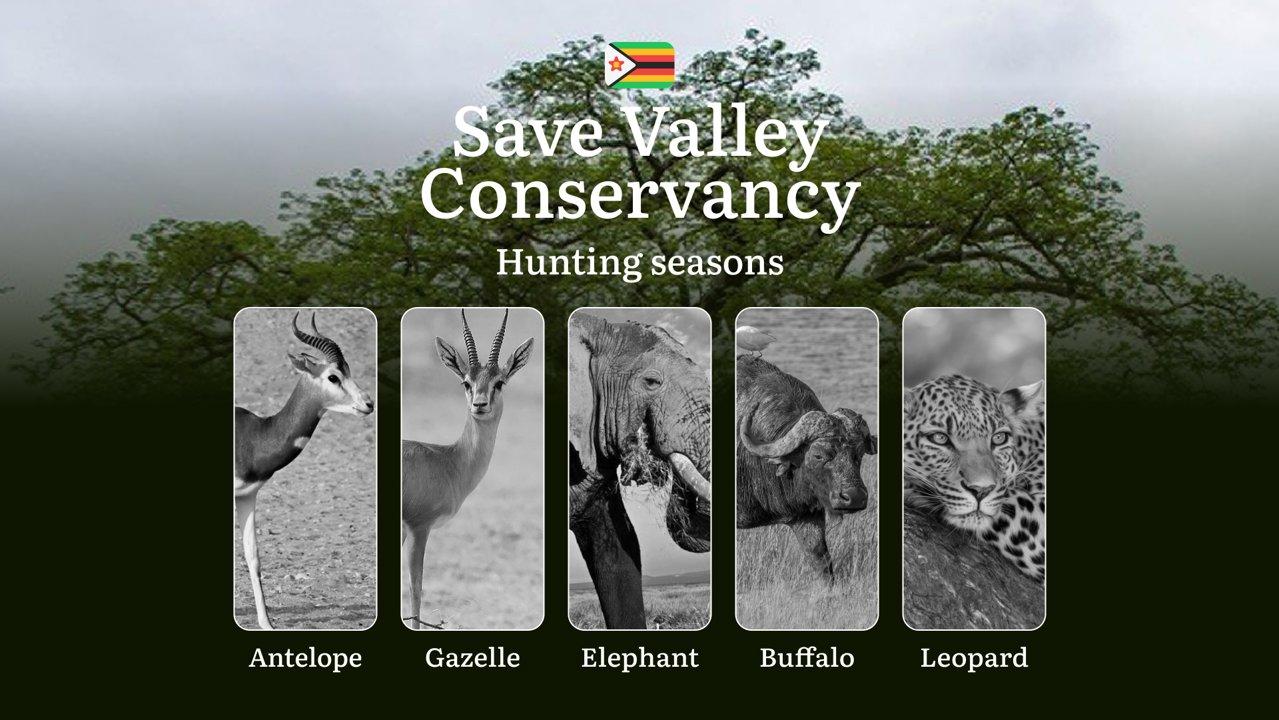 Hunting Dates in SAVE VALLEY Conservancy: Seasonal Features, Restrictions and Bans, Hunting License, Penalties for Violating Hunting