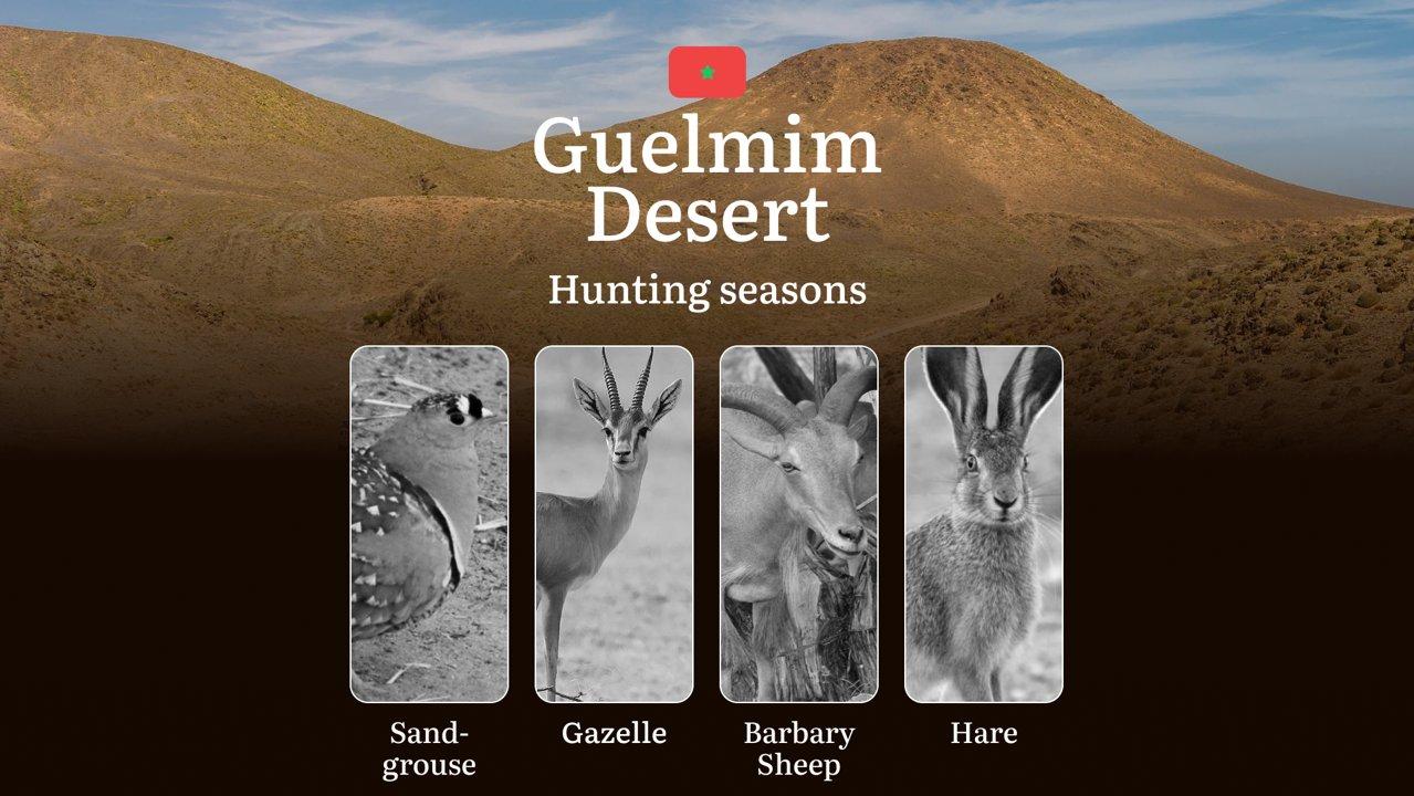 Hunting Seasons in Guelmim Desert: Regulations, Permits, and Time for Hunting, Documents and Organizations