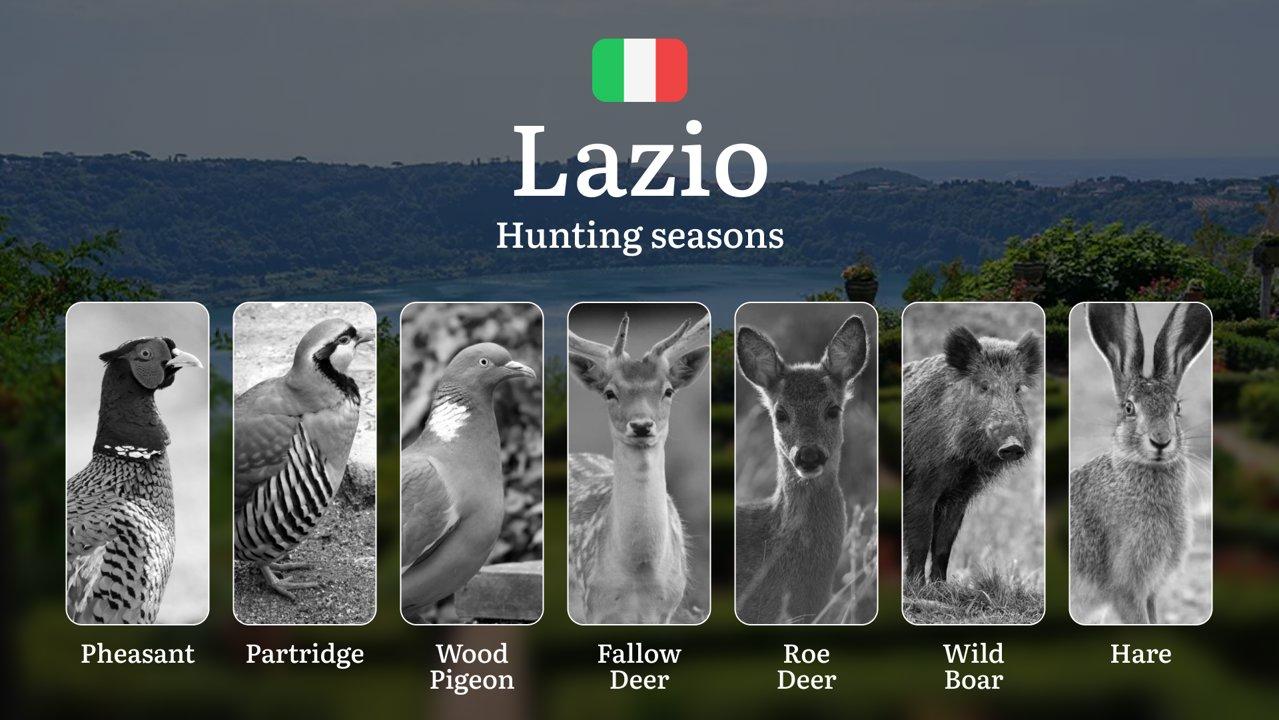 Lazio Hunting Calendar: Peak Dates for Driven Boar Hunts, Pheasant Shoots & Duck Passages in Central Italy

Lazio is a region of extraordinary natural beauty, where the A