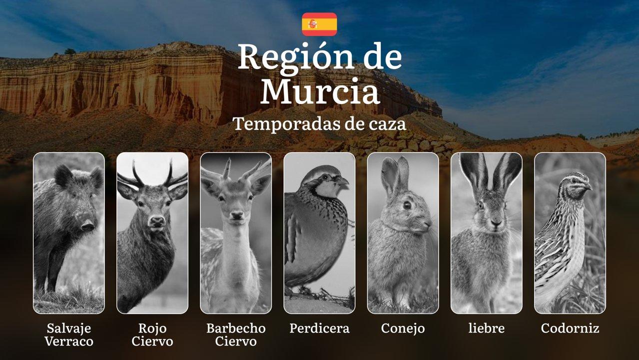 Caza en la Región de MURCIA: Temporadas y períodos de caza, Normativas Autonómicas y Gestión de Licencias