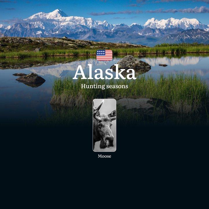 Hunting Seasons in Alaska: Timing, Regulations, Permits and Tactics, Documents and Support from Organizations

Hunting moose in Alaska is more than just a sport or a way 