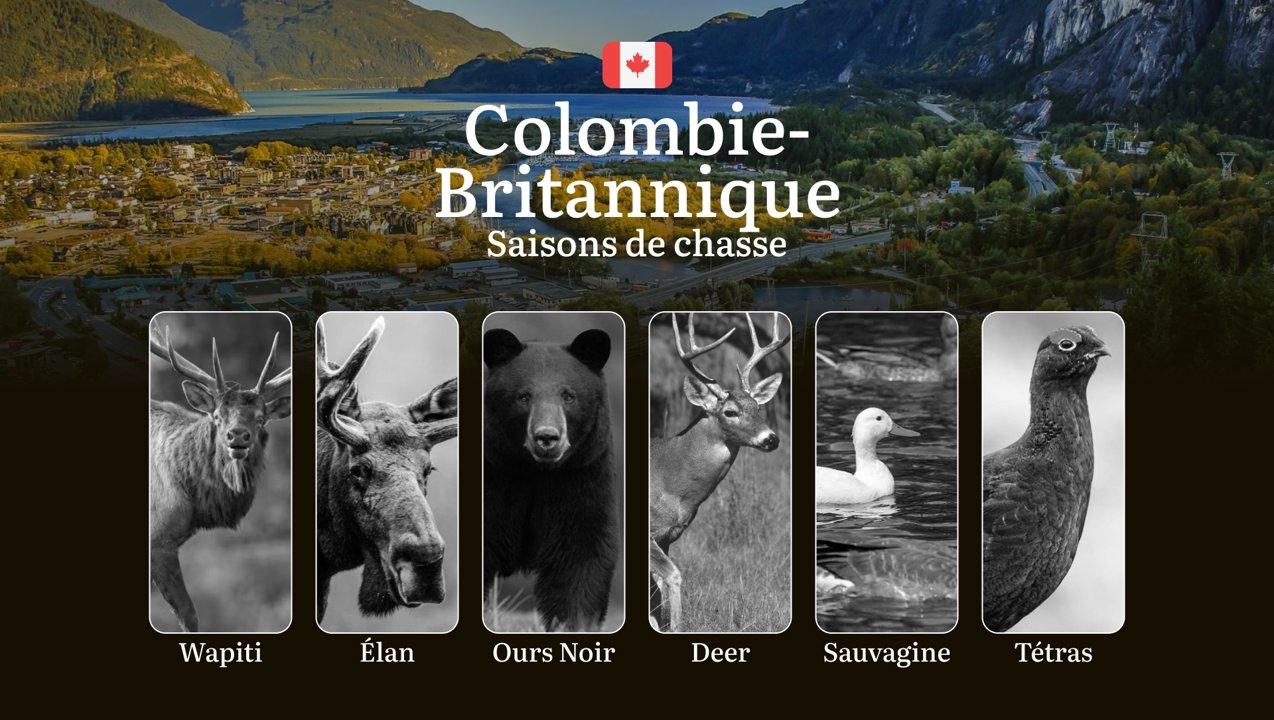 Saisons <strong>de</strong> chasse en COLOMBIE-BRITANNIQUE (Canada): Calendriers Complets, Réglementation Détaillée et Meilleures Périodes

Avec ses paysages grandioses a