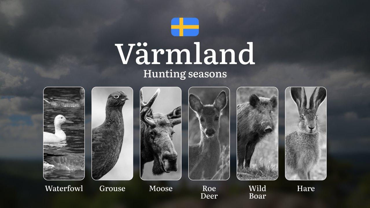 Hunting Periods and Permits in VÄRMLAND: A Detailed Look at Game Movement Throughout the Year, Seasonal Limits, and How to Apply for a Hunting License in the Area

Värmla