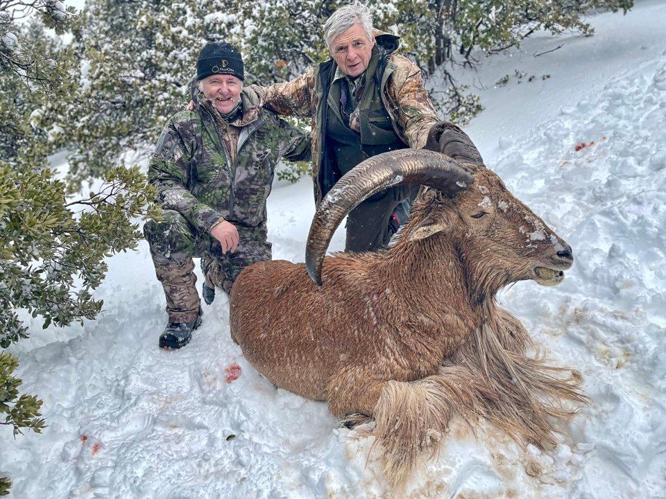 Die Jagd im Raum Murau: Rahmenbedingungen, Naturerlebnis, Jägerschaft, Wildtierpopulationen, Anwendung, Zeiträume, Gruppen, Bräuche und Fakten        

Gesetzliche Rahmen