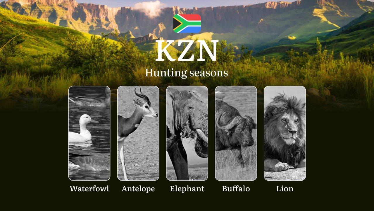 Buffalo Hunting Time in KZN, South Africa: Seasons, Licenses, Rules, and Periods for Hunting, Limits and Permits of Hunting

Regulations and Dates in KwaZulu-Natal Provin