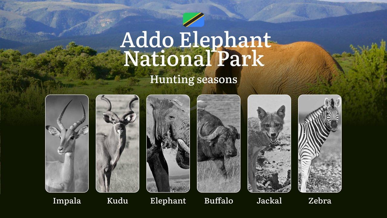 <strong>Hunting</strong> Timing in South Africa: Periods of <strong>Hunting</strong> and Natural Features of Addo Elephant National Park, Tips and Restrictions

Rules and