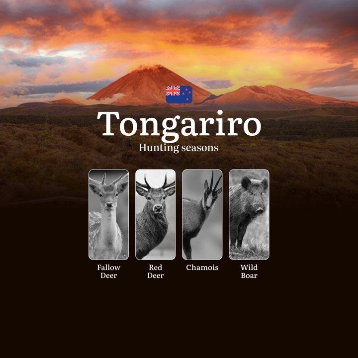 TONGARIRO National Park Hunting Seasons, Regulations, Licenses and Tips, Game Types and Best Times for Hunting, Gear and Tactics, Restrictions and Legal Limits