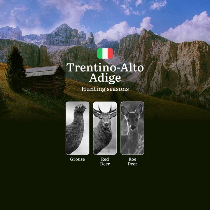 Trentino-Alto Adige Alpine Hunting Seasons: High-Altitude Schedules for Grouse, <strong>Chamois</strong> and Red Deer

The autonomous provinces of Trentino and South Tyro
