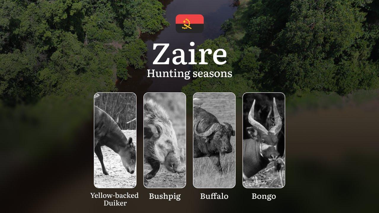 Hunting Calendar in Zaire: The Thrill of Hunting Events and Traditions, Legislation & General Hunting Rules and Permits