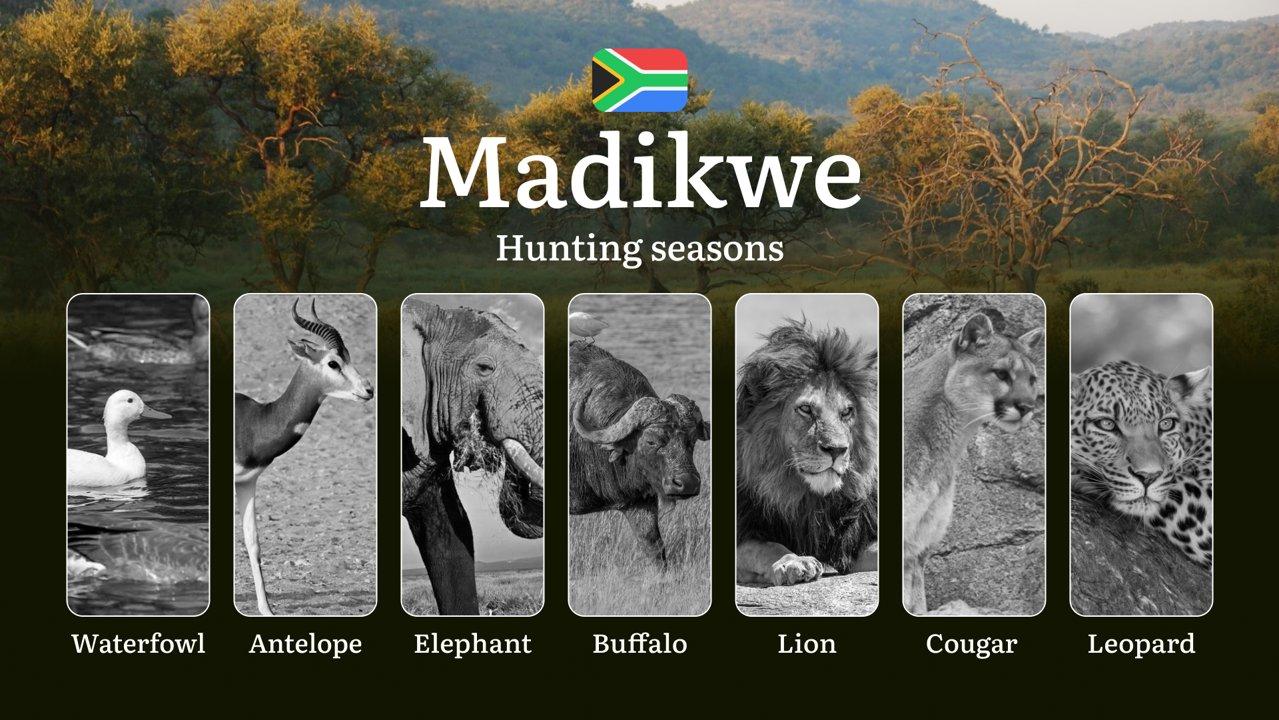 Hunting Dates in South Africa: The Madikwe Region and Seasonal Nuances, Periods and Time, Limits and Rules, Restrictions and Bans

Hunting in South Africa is not only an 