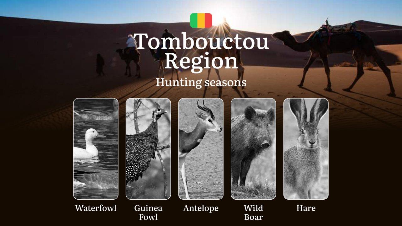 Tombouctou Region: Official Hunting Periods, Legal Limits and Seasonal Bans, Licensing Requirements, Fines and Legal Consequences of Non-Compliance, Strategic Planning, Timing, Equipment 