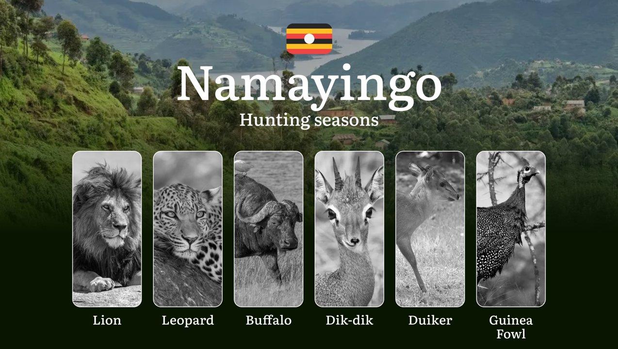 Permitted Hunting Intervals in Namayingo: Year-Round Huntable Wildlife, Seasonal Migration of Game, and the Process for Securing a Legal Hunting Permit 