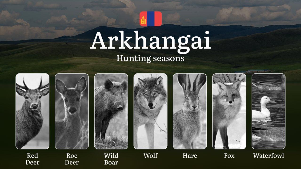 Arkhangai Province: Hunting Seasons and Timing, Regulations and Licensing, Required Documents and Procedures, Tips for Hunters
