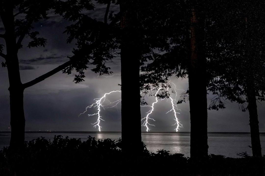 Florida Hunters and Their Dogs Killed by Lightning Strike in Highlands County