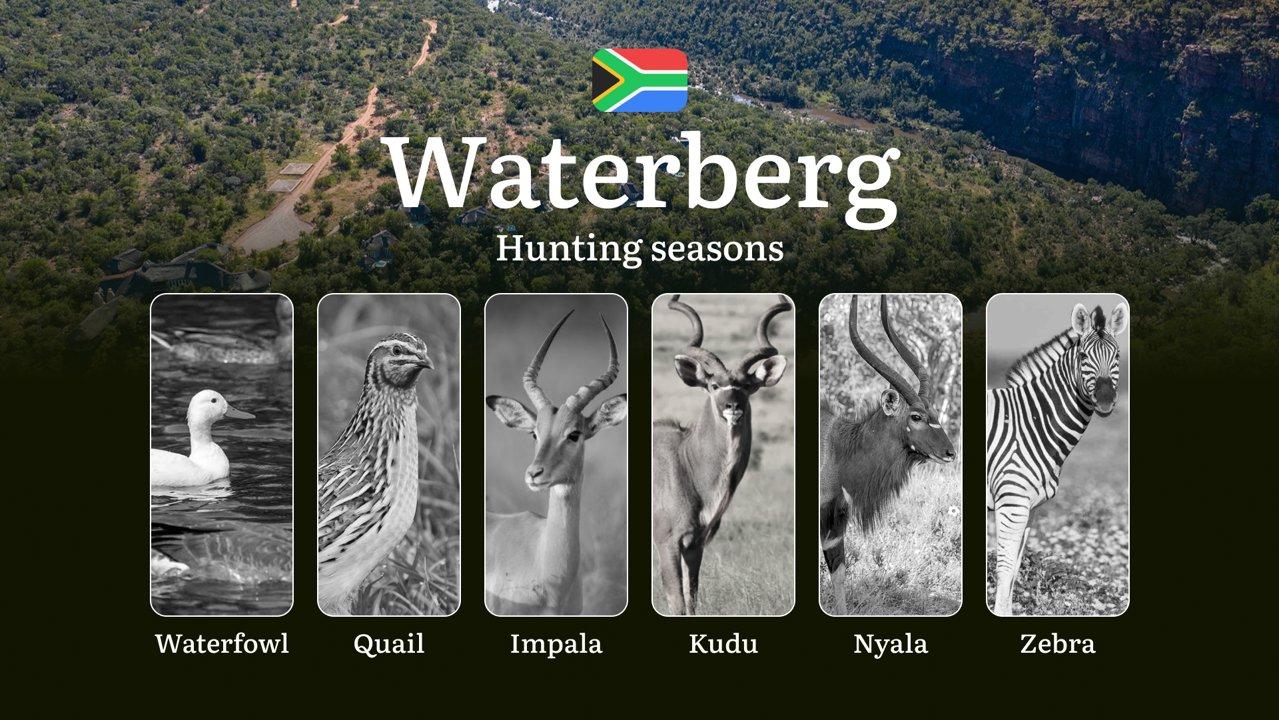 Seasons of Hunting in South Africa’s Waterberg Region: Hunting Periods, Openings, Closings, Licenses, Rules, and Times for Hunting

Features and Regulations of the Huntin