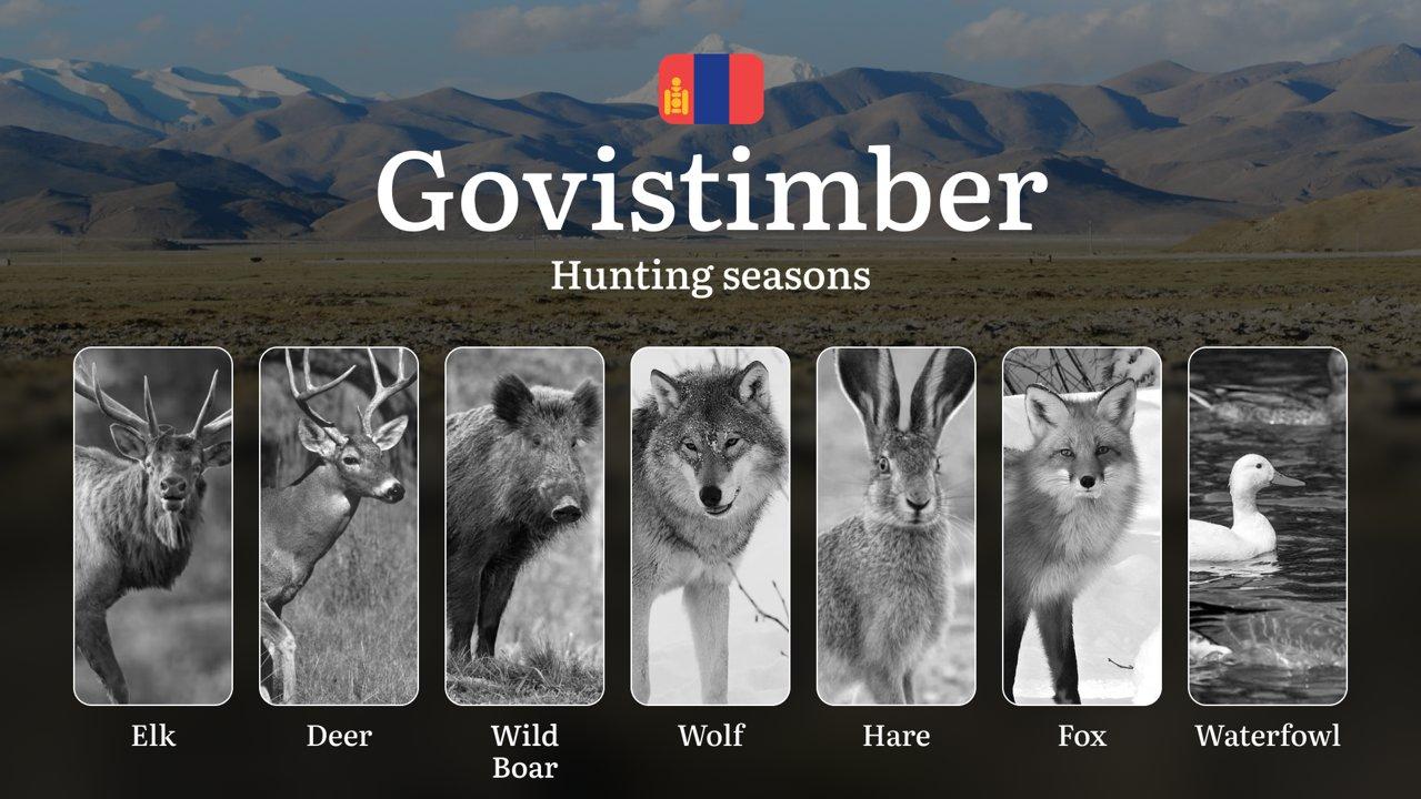 Hunting Periods and Local Rules in Govisümber Province: Species You Can Hunt Throughout the Year, Seasonal Activity of Game, and the Steps to Get a Legal Hunting License in the Region