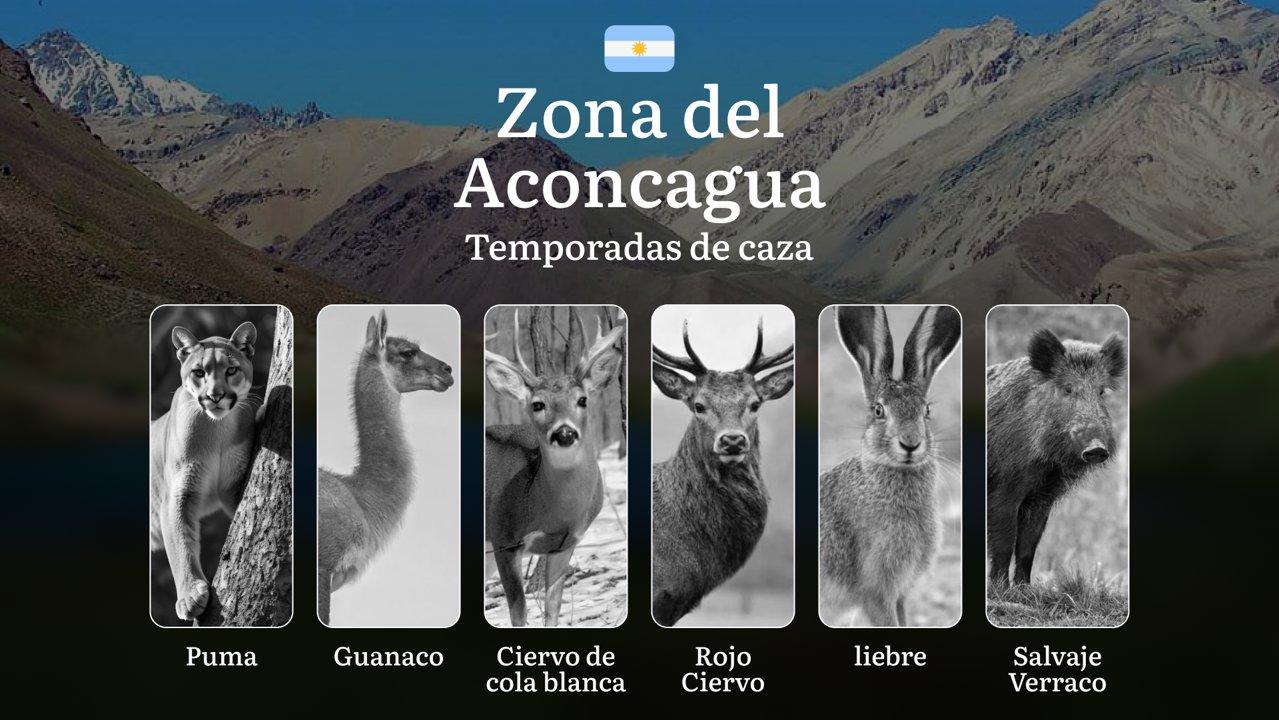 Zona del Aconcagua — particularidades, temporadas de caza, licencias y reglas, documentos y normas, consejos para cazar