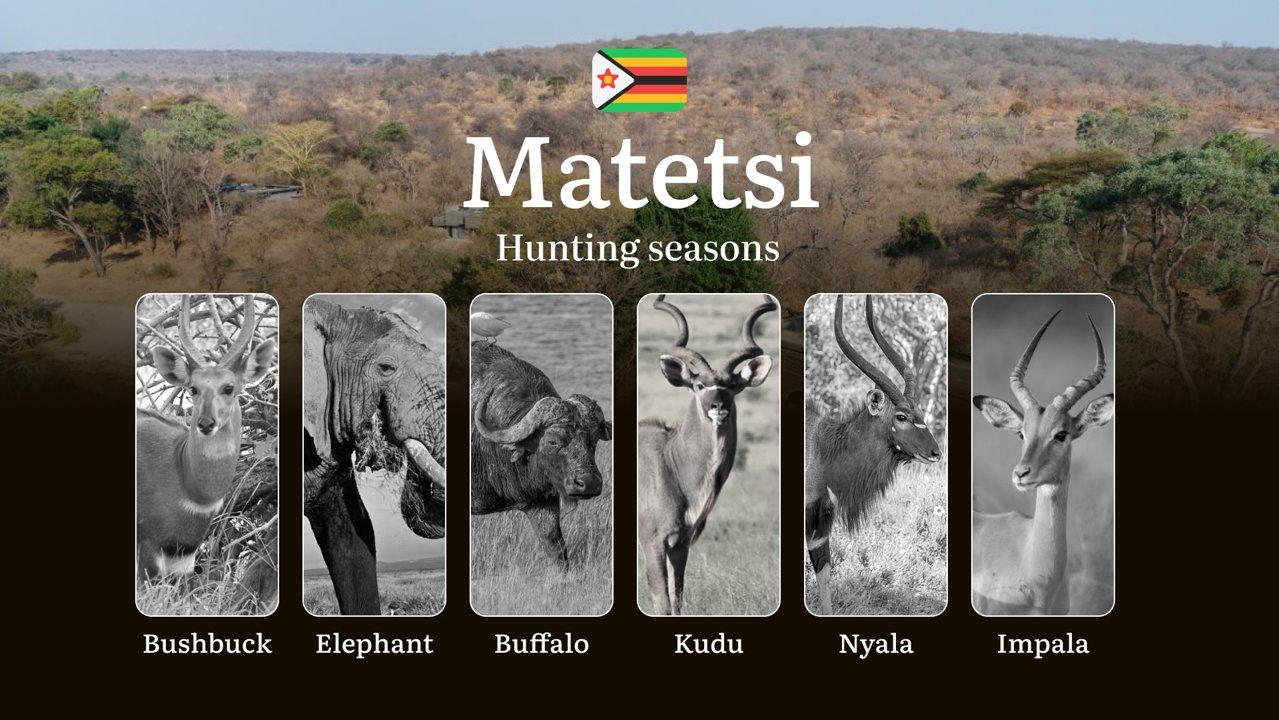 Times of Hunting in Zimbabwe, MATETSI SAFARI: Seasons and Dates of Hunting, Region Restrictions and Bans, Tips for Hunters