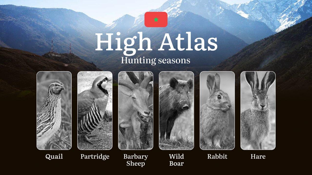 Hunting Periods and Permits in <strong>High</strong> Atlas: A Detailed Look at Game Movement Throughout the Year, Seasonal Limits, and Licensing Requirements and Applicat