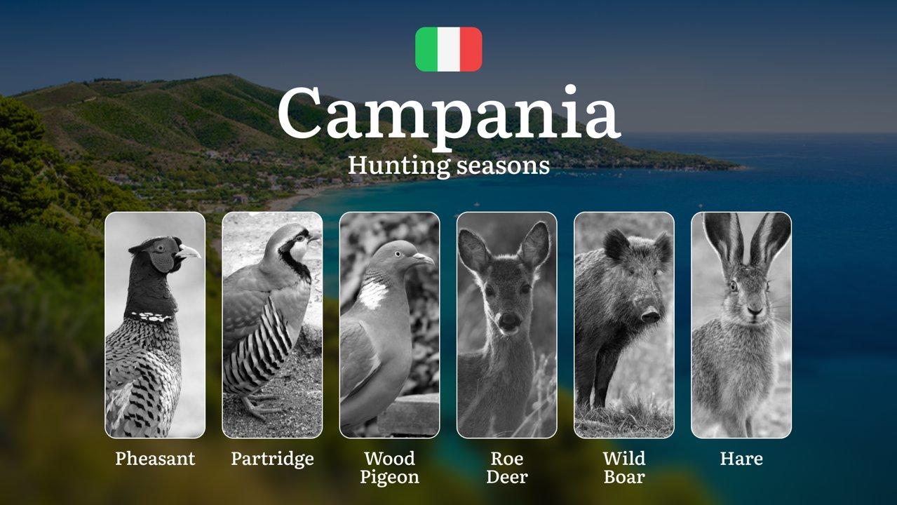 Campania Hunting Calendar: Optimal Dates from Cilento to Matese Mountains, Tips and Events

Campania is a region of extraordinary natural beauty, offering diverse landsca