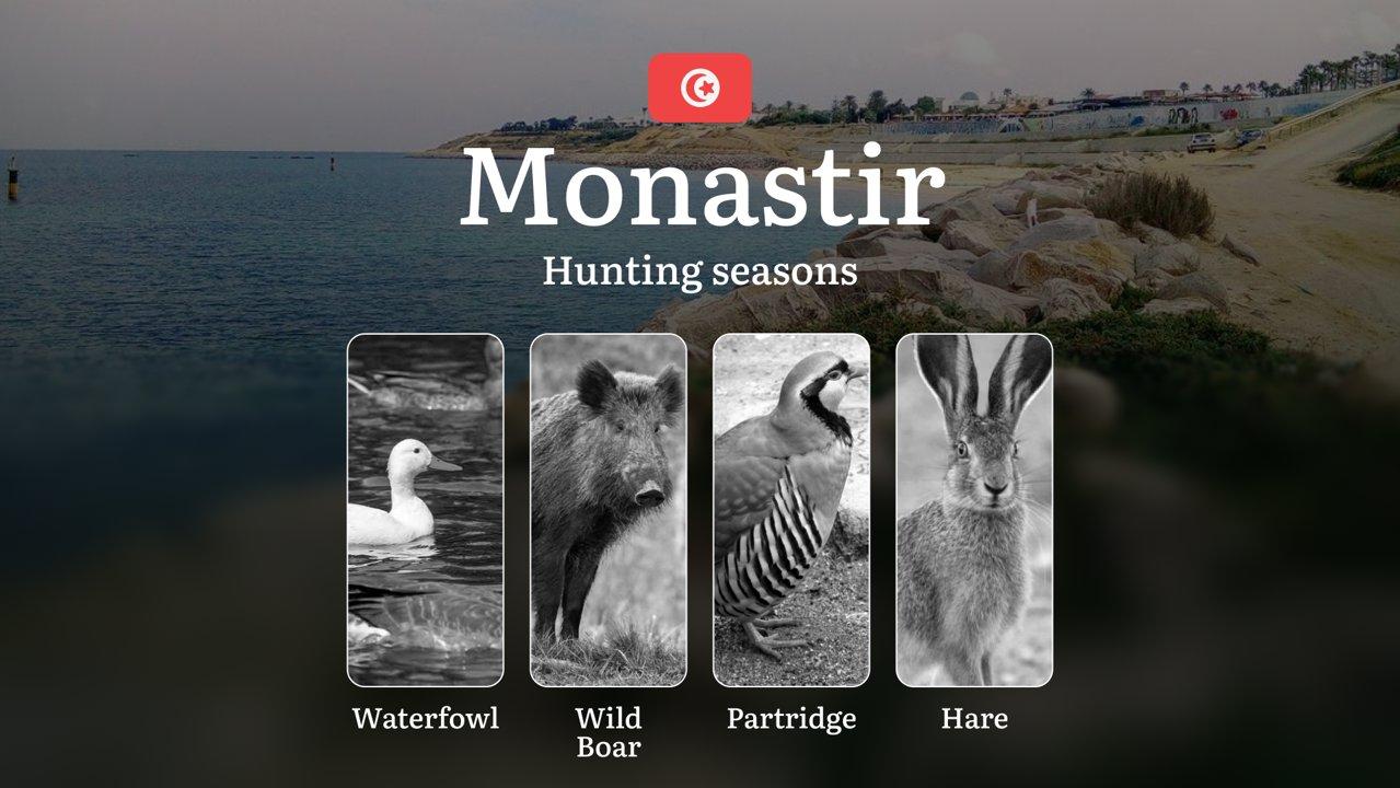 Hunting Seasons in MONASTIR: Full Season Calendar, Licensing Information, Practical Recommendations, Protected Species, Key Regulations and Restrictions