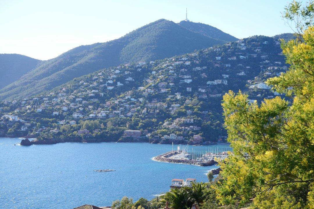 La Chasse dans le VAR: Explorez la Géographie, Naviguez dans les Saisons de Chasse et Découvrez des Associations