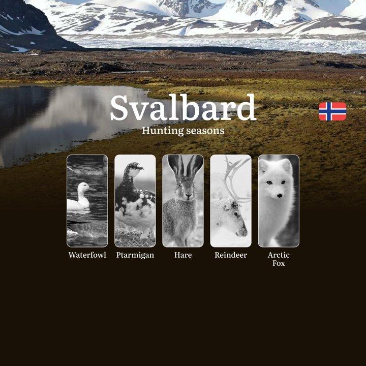 Hunting Periods and Permits in Svalbard: A Detailed Look at Game Movement Throughout the Year, Seasonal Limits, and How to Apply for a Hunting License in the Area

Svalba