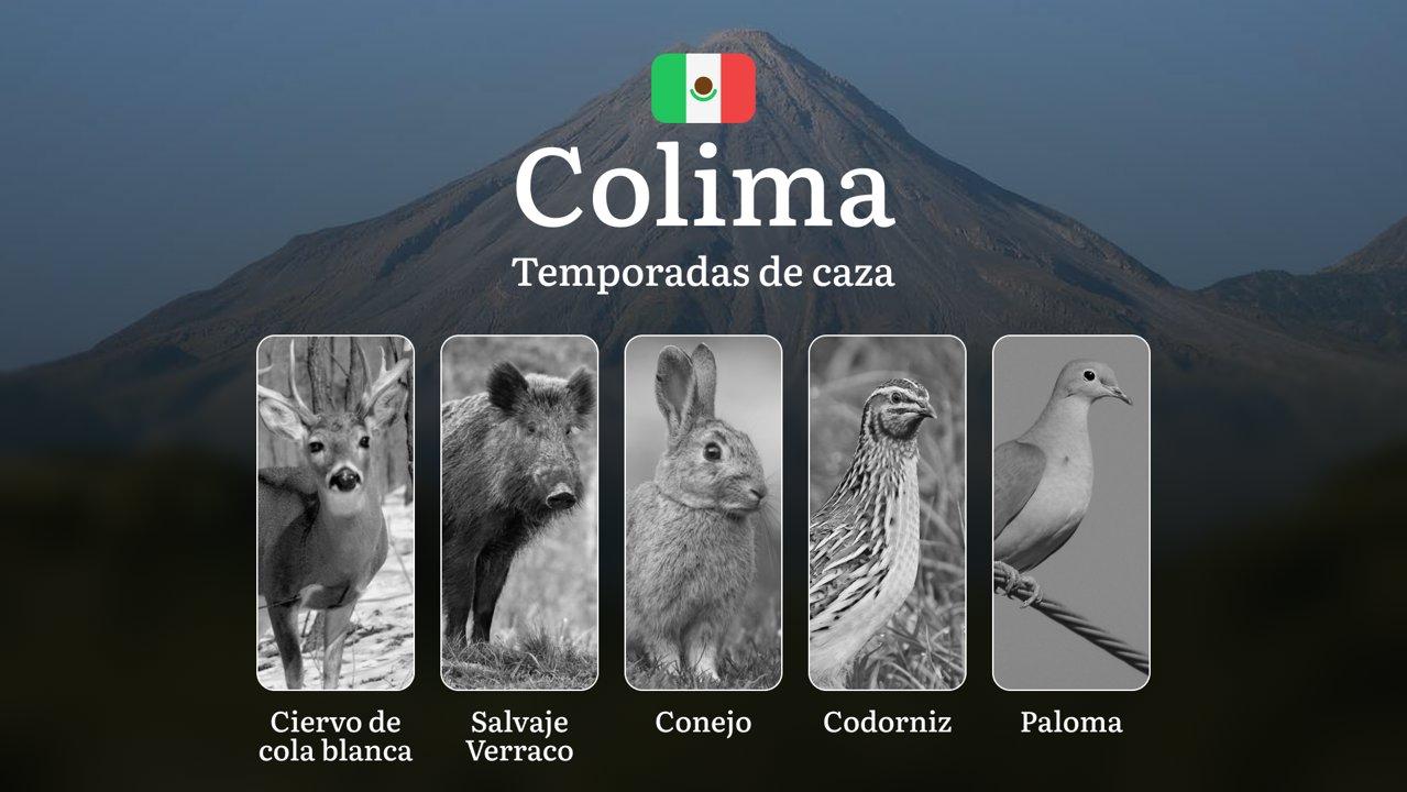 Temporadas y períodos de Caza en Colima: Épocas, Regulaciones y Mejores Momentos para la Cacería