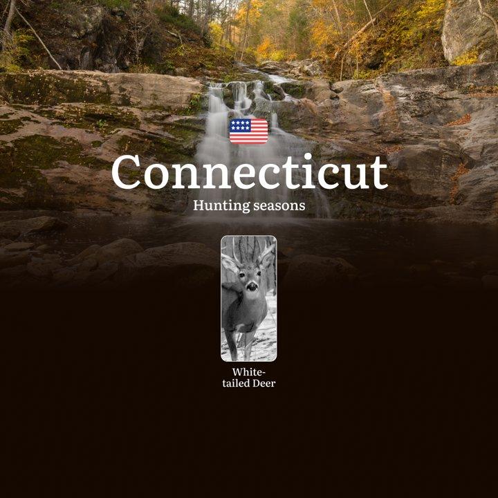 Deer Hunting Seasons in Connecticut: Timing, Licenses, Rules, Restrictions and Prohibitions, Hunting Tips