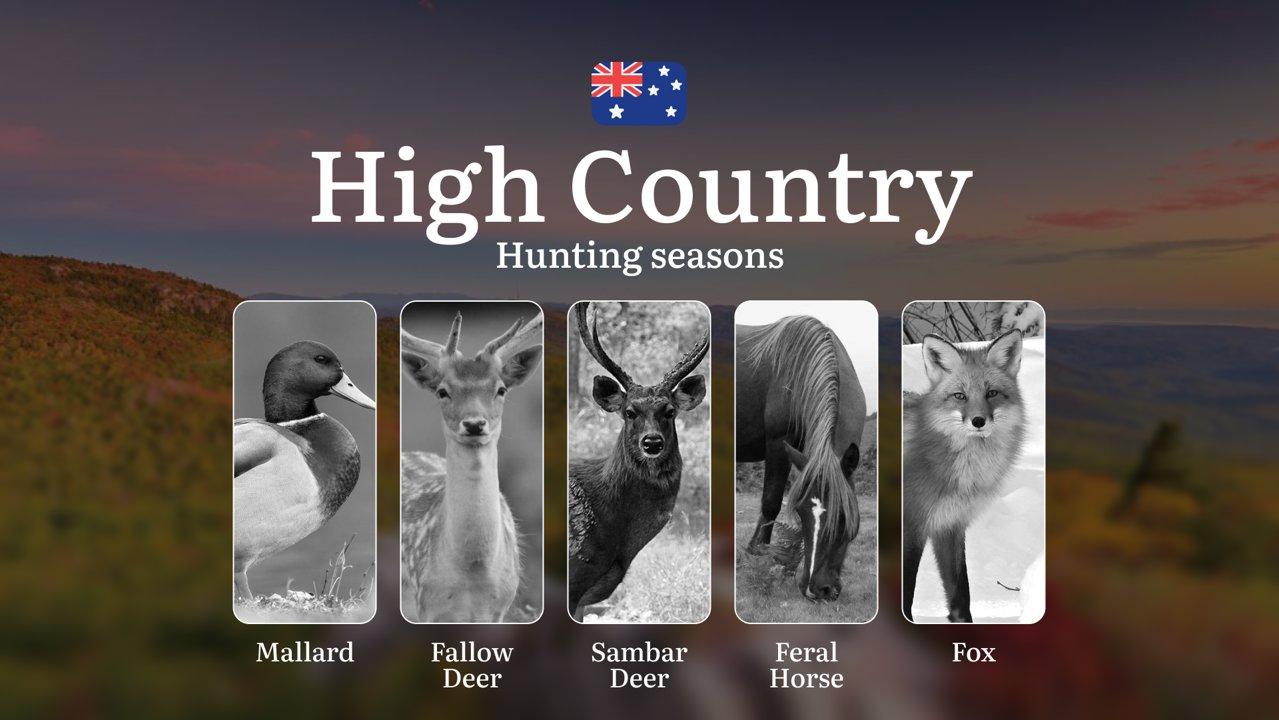 High Country Hunting Calendar: Mastering Alpine Seasons for Sambar, Deer and Mountain Game

Hunting Regulations & Seasonal Framework in the High Country

The Australian H