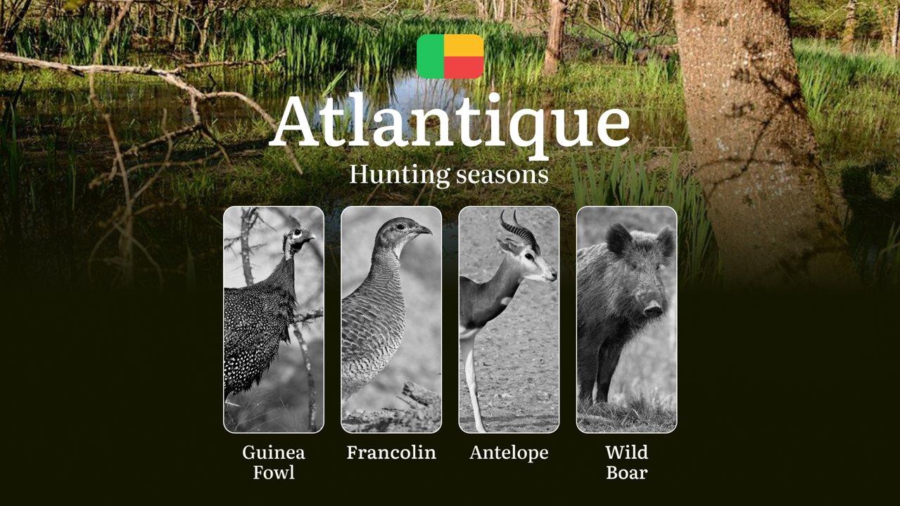 Seasons of Hunting in the ATLANTIQUE Region, Benin: Timing and Hunting Seasons, Protected Species and Restrictions, Licenses and Permits